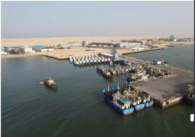 我国海外最大渔业基地年产值6000多万美元