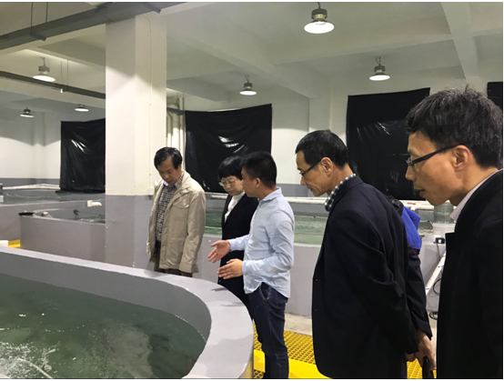 核心区管委会副主任吕宏贵到重点企业调研座谈