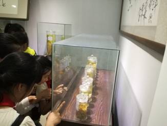 蕉城区科学技术和知识产权局联合区教育局、区科协组织青少年赴国家（重点）实验室参观