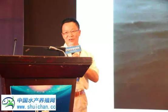 这七个水产养殖新模式，才是未来发展的方向