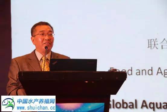 这七个水产养殖新模式，才是未来发展的方向