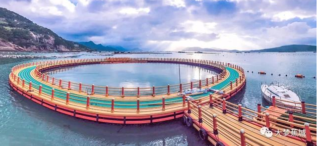 傾城之力，重编“海上浮城”“再生密码”……