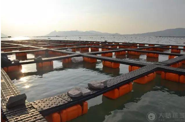 傾城之力，重编“海上浮城”“再生密码”……