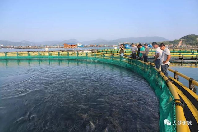 傾城之力，重编“海上浮城”“再生密码”……