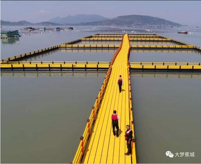 傾城之力，重编“海上浮城”“再生密码”……