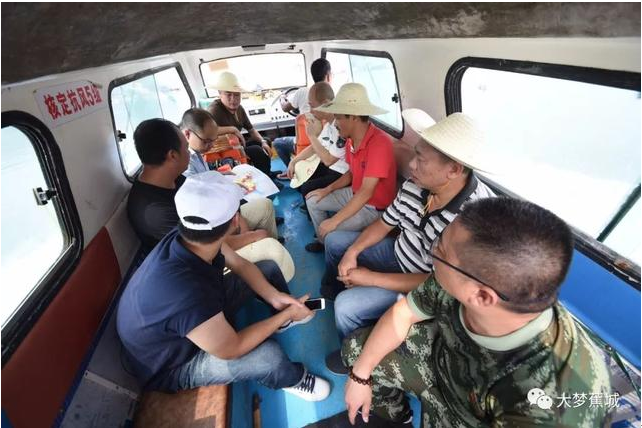 傾城之力，重编“海上浮城”“再生密码”……