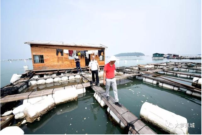 傾城之力，重编“海上浮城”“再生密码”……