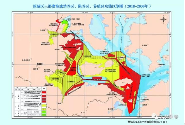傾城之力，重编“海上浮城”“再生密码”……