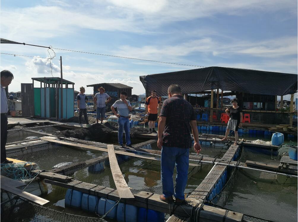 大黄鱼育种国家重点实验室专家一行赴饶平、诏安两地考察调研