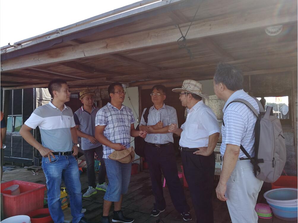 大黄鱼育种国家重点实验室专家一行赴饶平、诏安两地考察调研