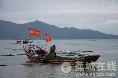 三都澳“海上家园”升级进行时
