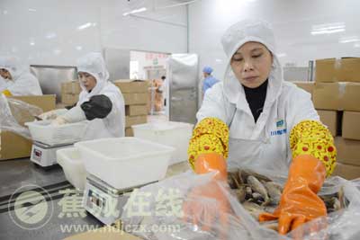 特色产业助力区域经济发展