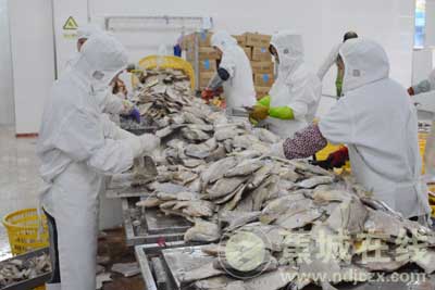 特色产业助力区域经济发展