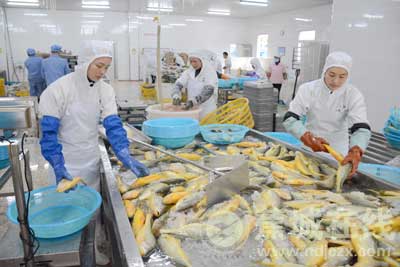 特色产业助力区域经济发展