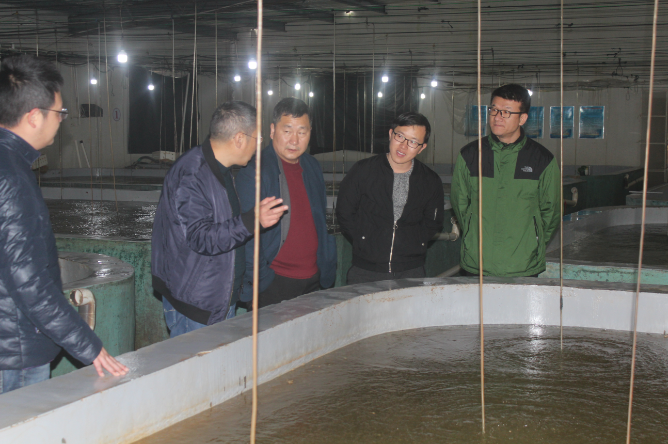 宁波市海洋与渔业研究院林庆欢院长一行莅临公司指导