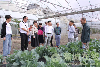 蕉城区科技工作者走进洋中助力乡村振兴