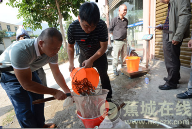 三都海域251万尾黑鲷鱼苗回归海洋