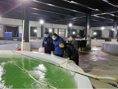 梁敏生局长赴蕉城区调研水产龙头企业复工情况