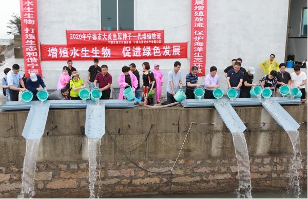 我局举办“6·6八闽放鱼日”大黄鱼原种子一代苗种增殖放流活动