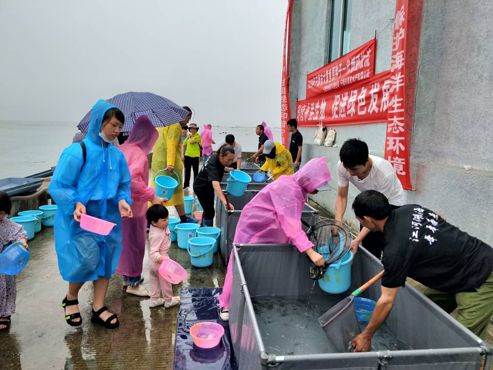 富发公司参与开展2020年大黄鱼增殖放流活动