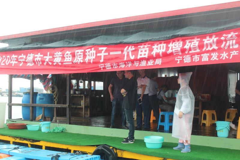 富发公司参与开展2020年大黄鱼增殖放流活动