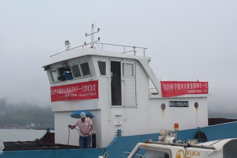 富发公司参与开展2020年大黄鱼增殖放流活动